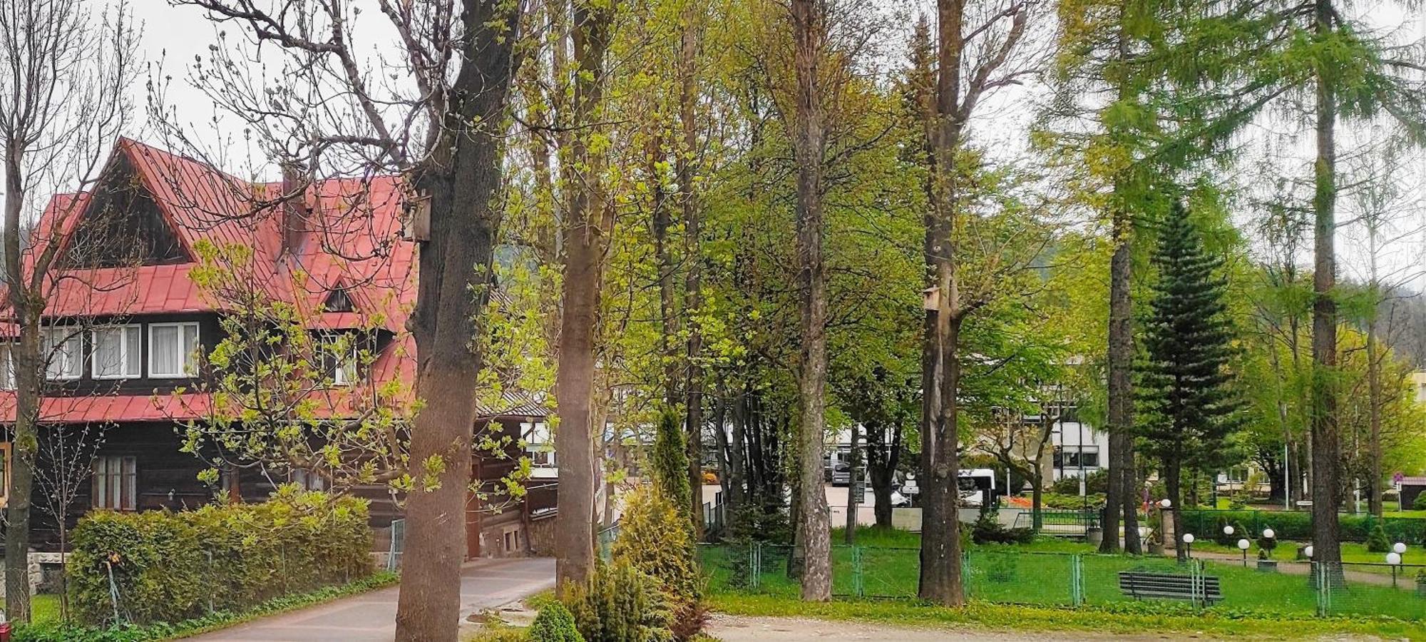 Hosana Zakopane Pokoje Goscinne I Apartamenty المظهر الخارجي الصورة